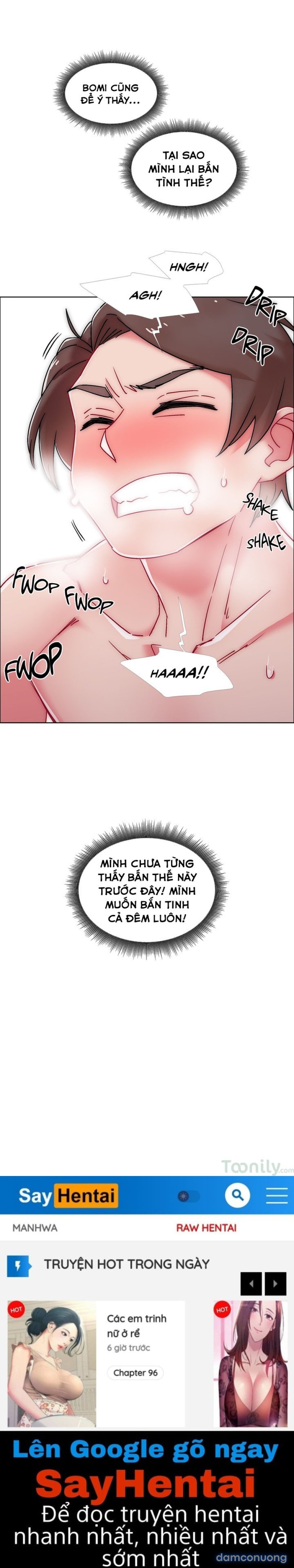 Thuê Băng Phim Heo 