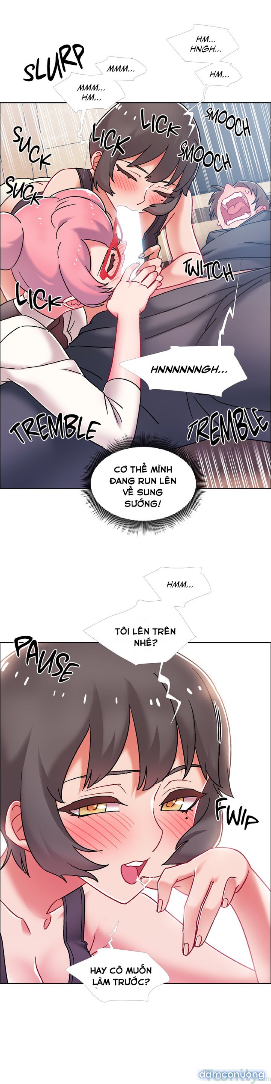 Thuê Băng Phim Heo 
