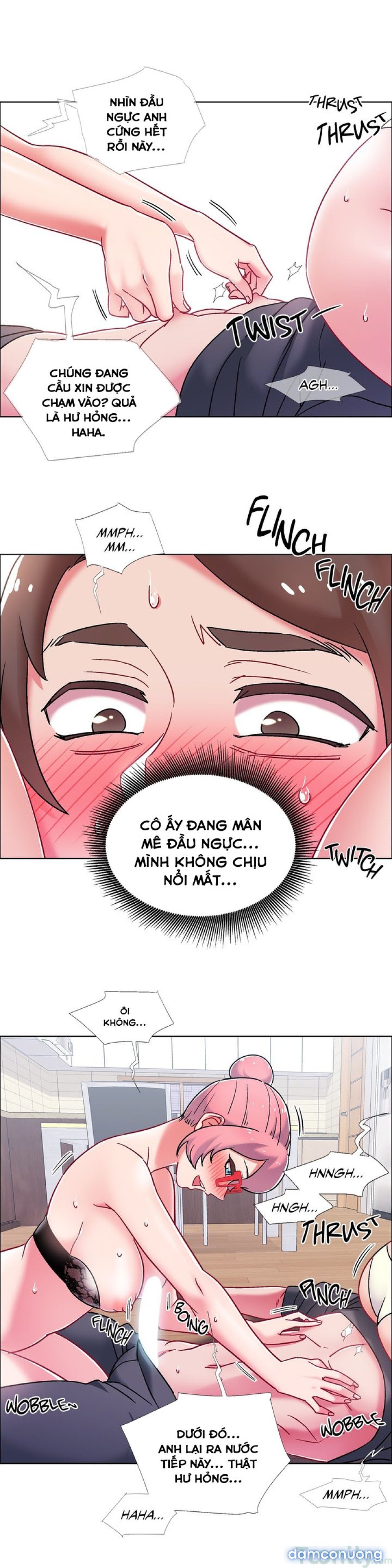 Thuê Băng Phim Heo 