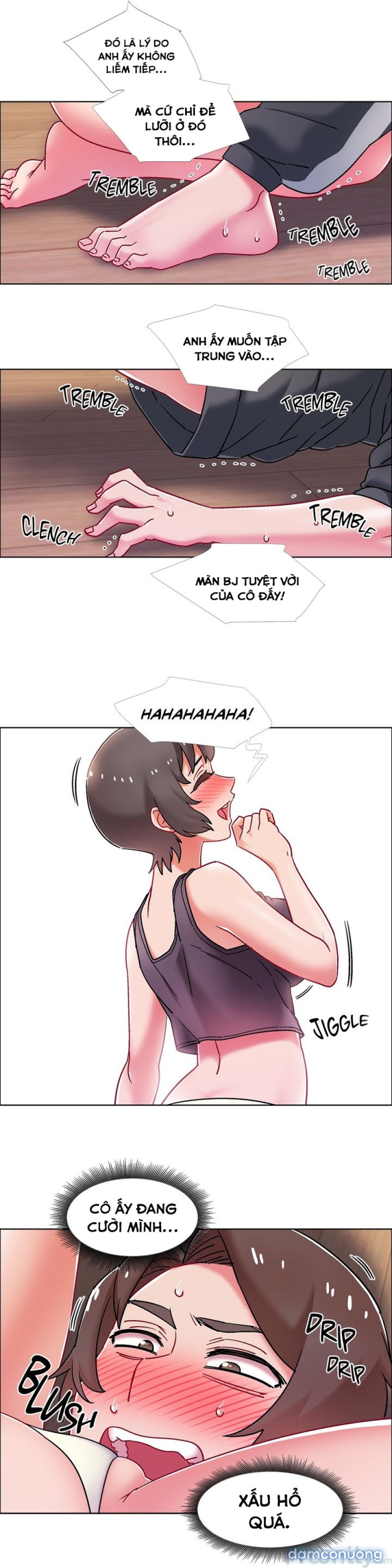 Thuê Băng Phim Heo 