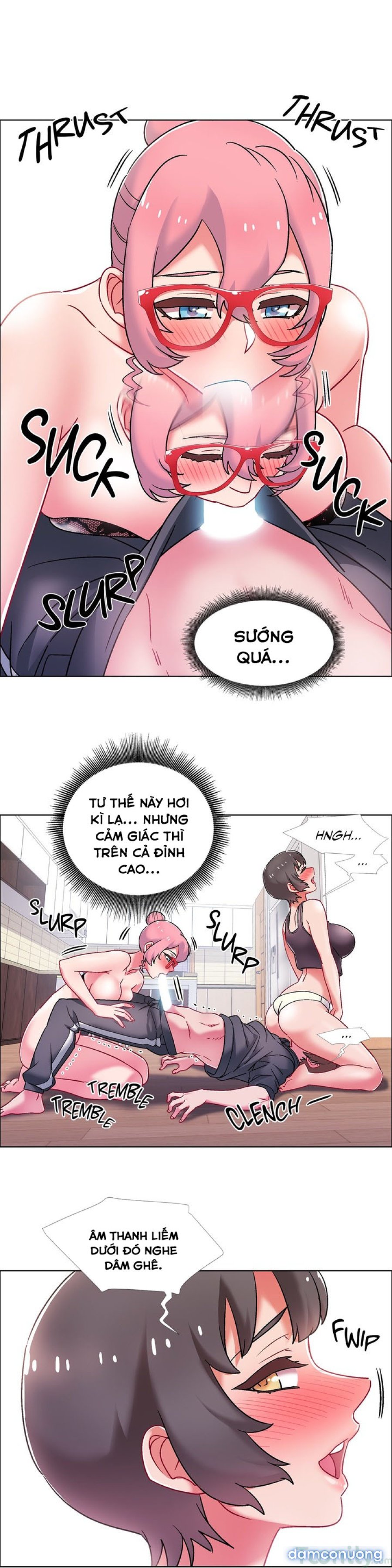 Thuê Băng Phim Heo 