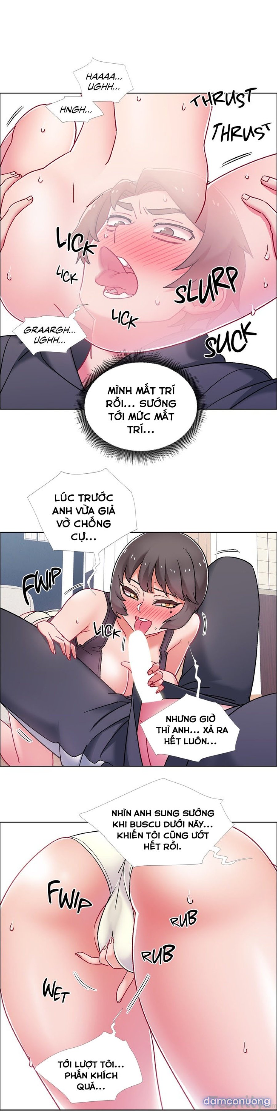 Thuê Băng Phim Heo 