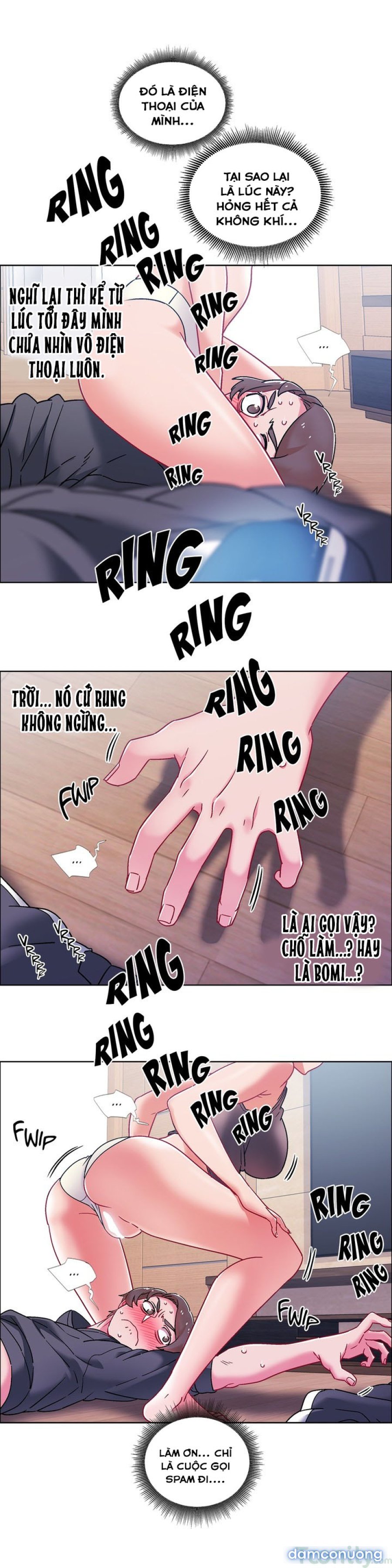 Thuê Băng Phim Heo 