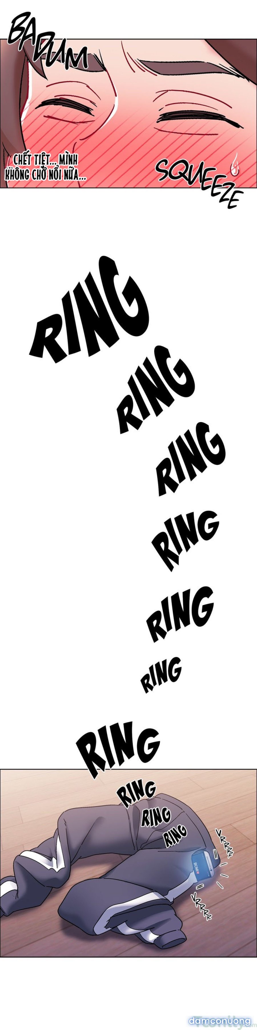 Thuê Băng Phim Heo 