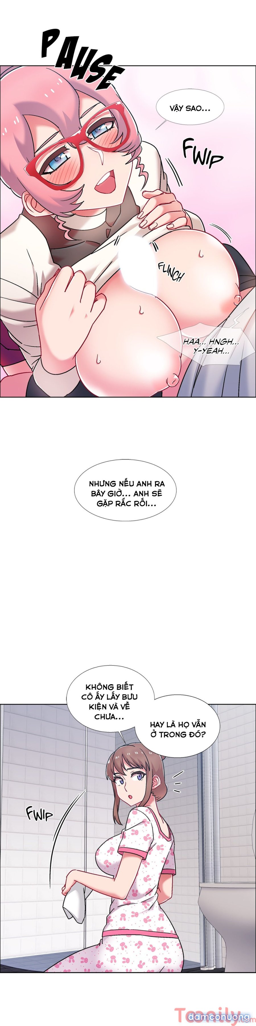 Thuê Băng Phim Heo 