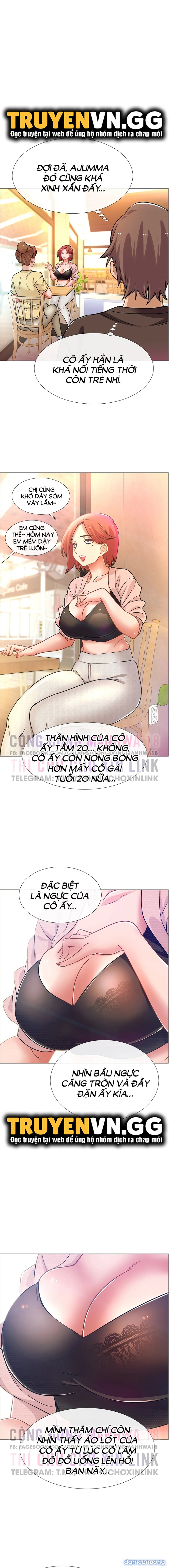 Thuê Băng Phim Heo 