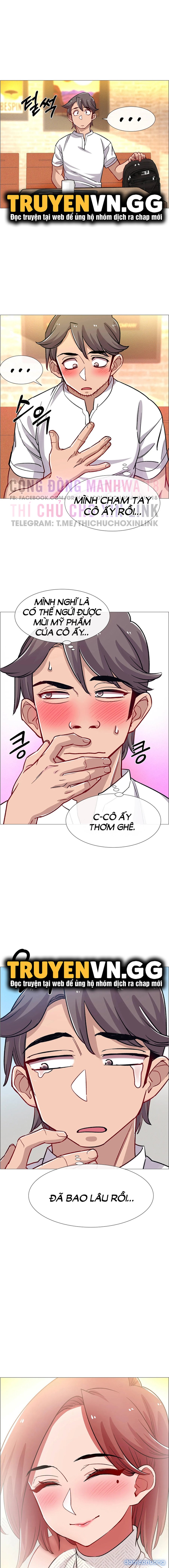 Thuê Băng Phim Heo 
