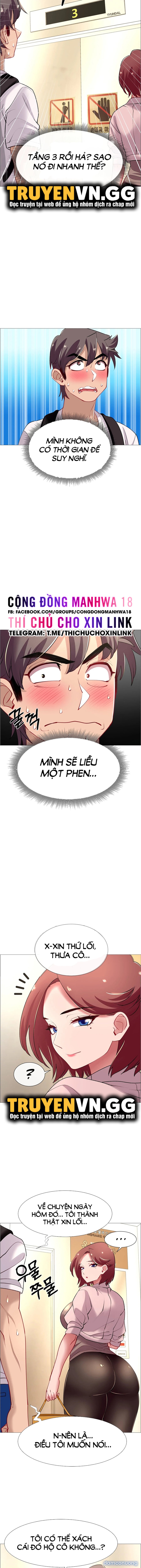 Thuê Băng Phim Heo 