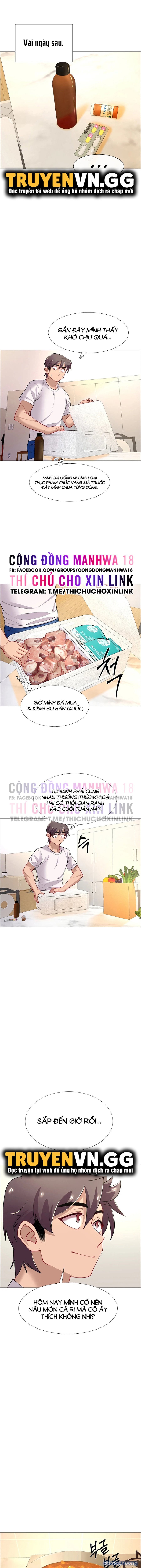 Thuê Băng Phim Heo 
