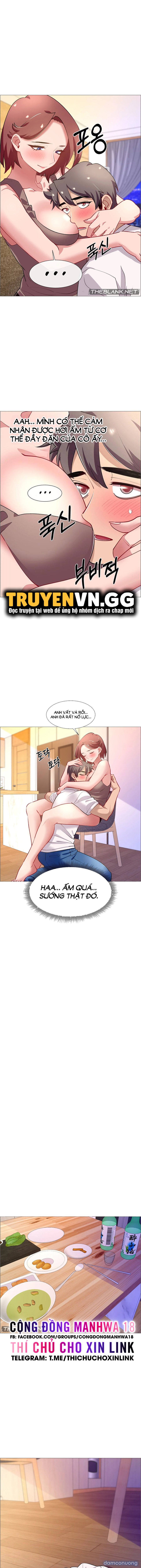 Thuê Băng Phim Heo 