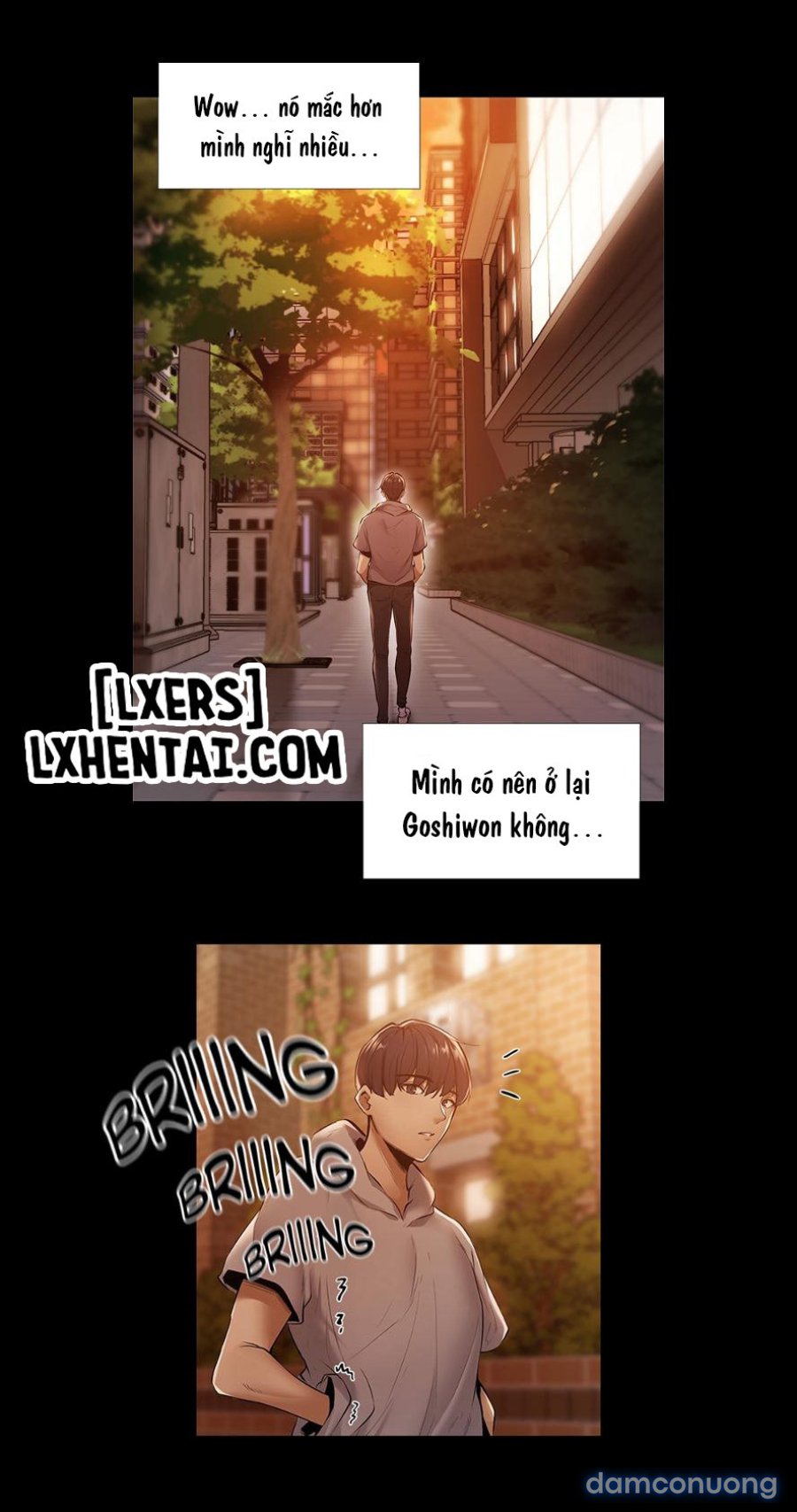 Có Phòng Trống Không - không Che 