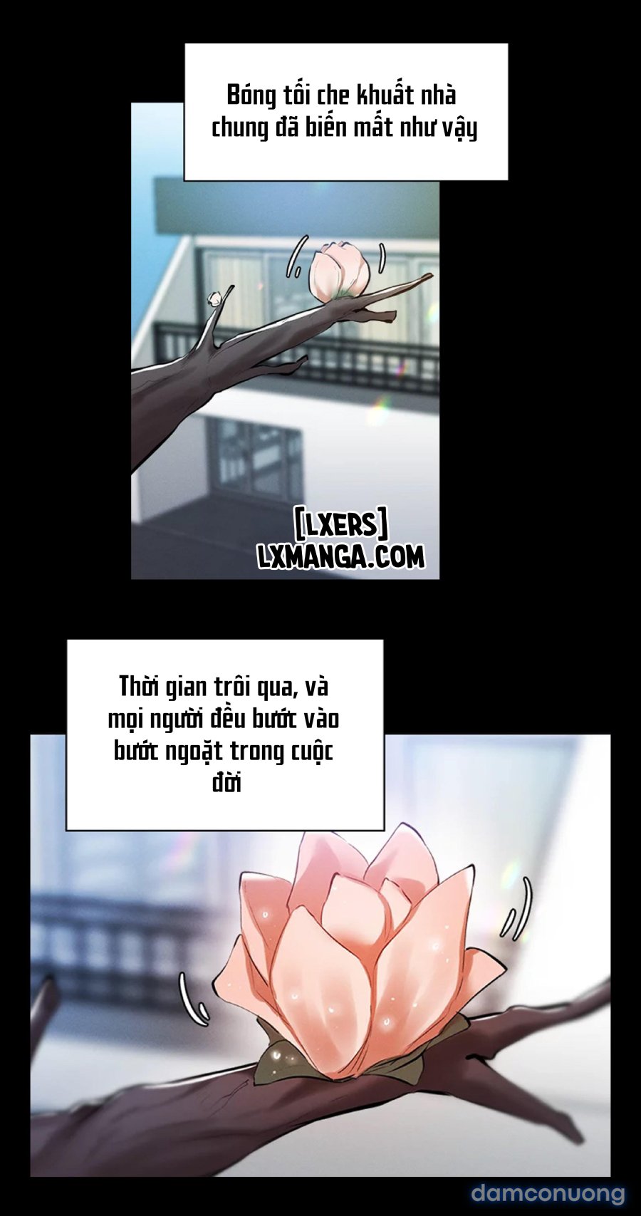 Có Phòng Trống Không - không Che 