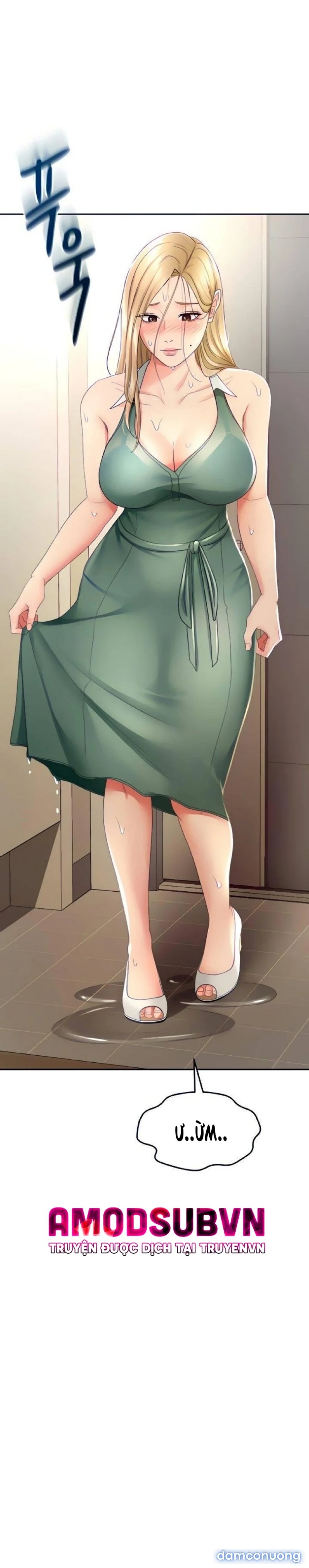 Cậu Chủ Nhỏ 