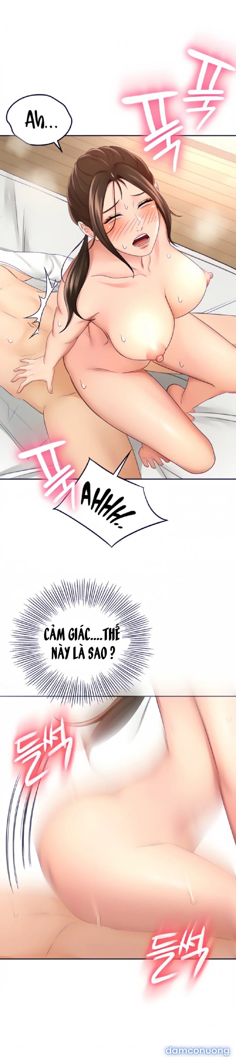 Cậu Chủ Nhỏ 