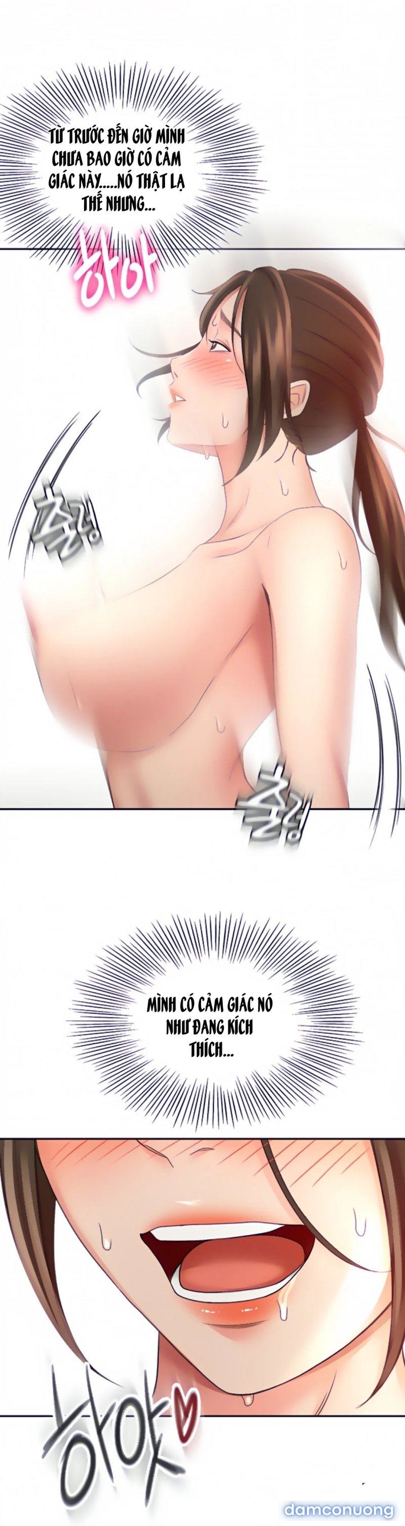 Cậu Chủ Nhỏ 