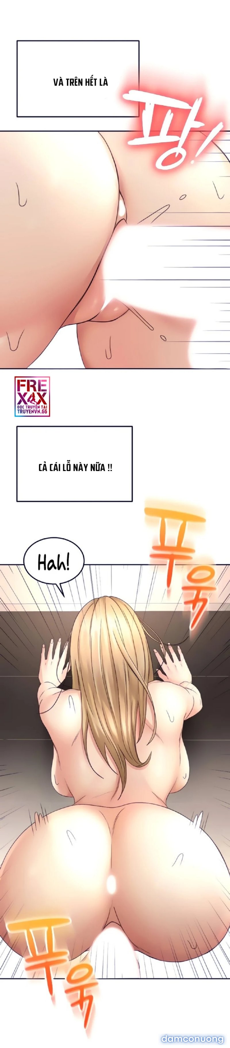 Cậu Chủ Nhỏ 