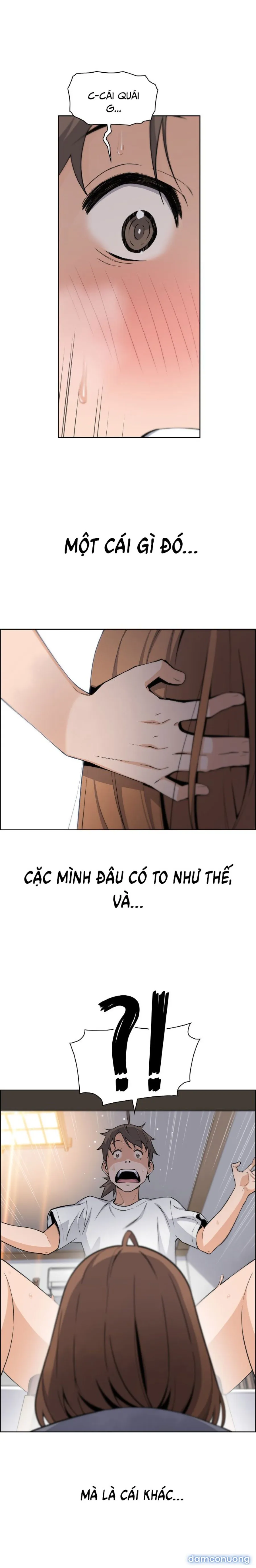 Những Mỹ Nhân Ở Tiệm Đậu Hủ 
