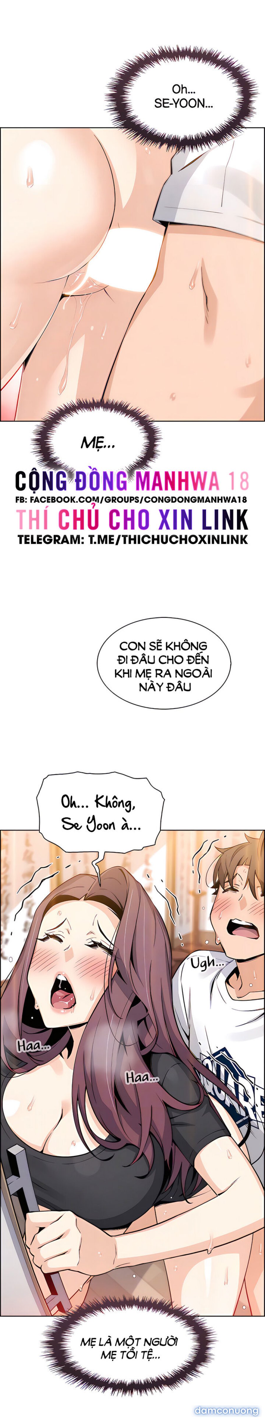 Những Mỹ Nhân Ở Tiệm Đậu Hủ 