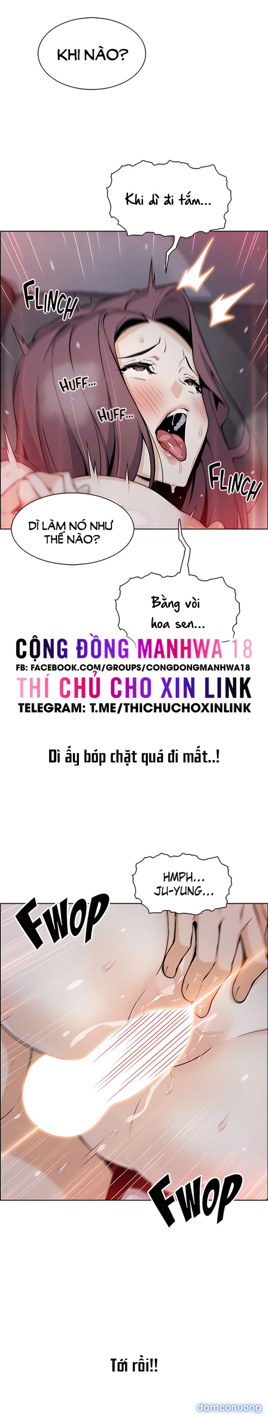 Những Mỹ Nhân Ở Tiệm Đậu Hủ 