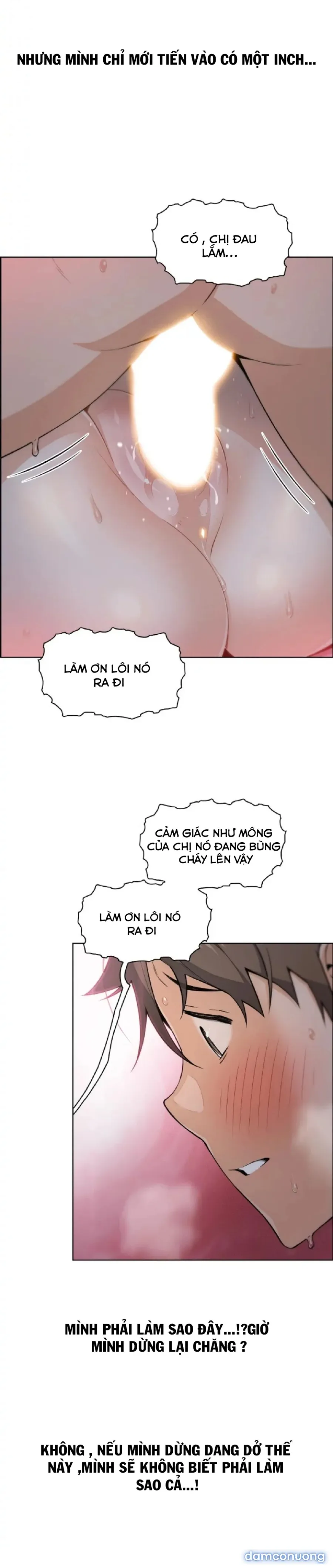 Những Mỹ Nhân Ở Tiệm Đậu Hủ 