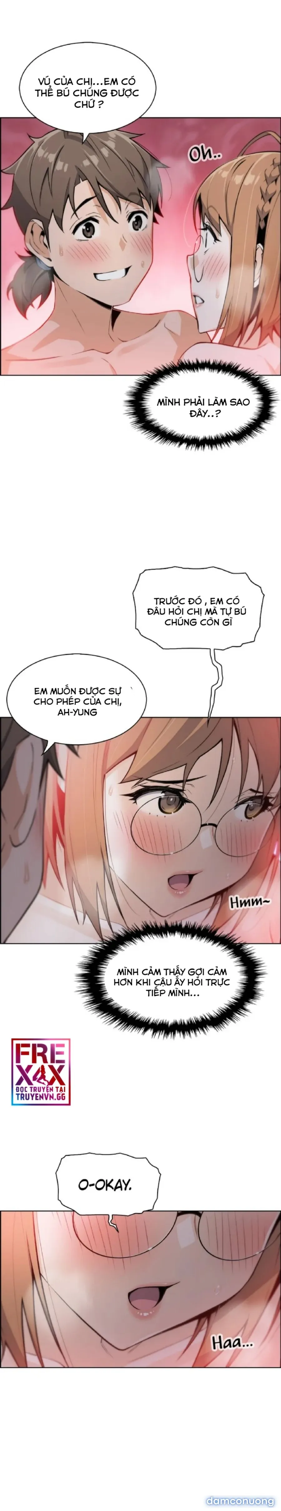 Những Mỹ Nhân Ở Tiệm Đậu Hủ 