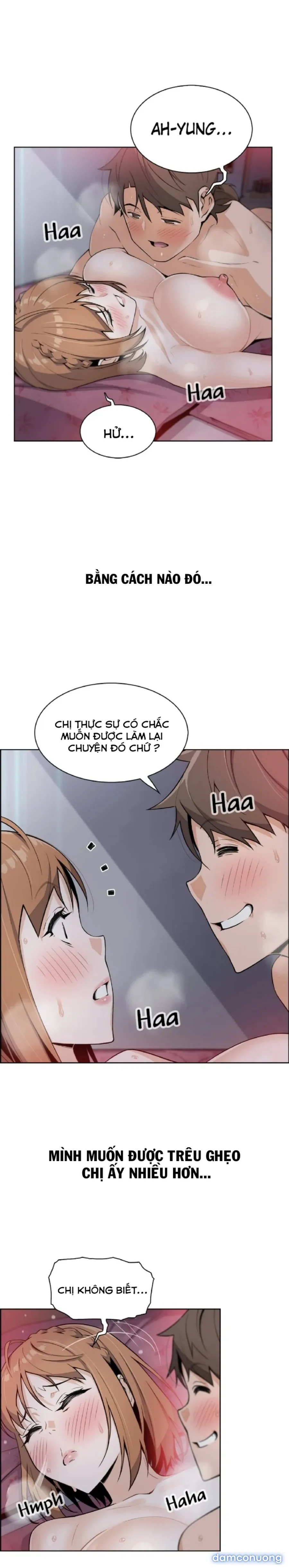 Những Mỹ Nhân Ở Tiệm Đậu Hủ 