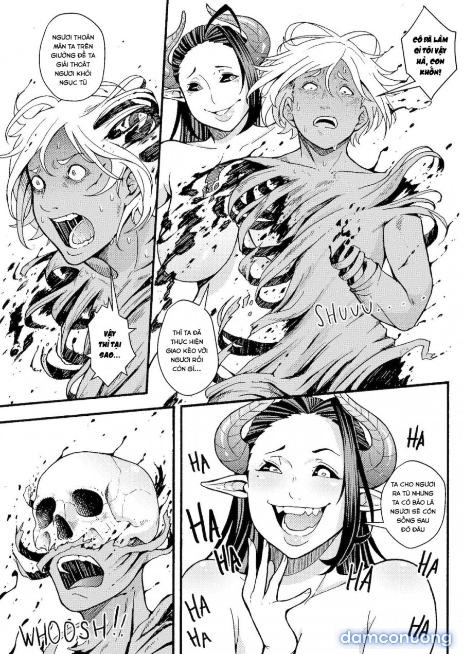 Vandella + Special 