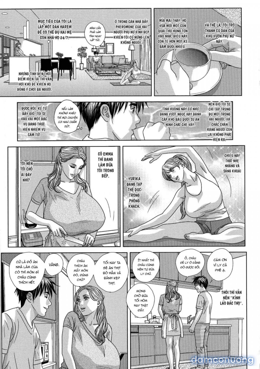 SUPER BOOBS 