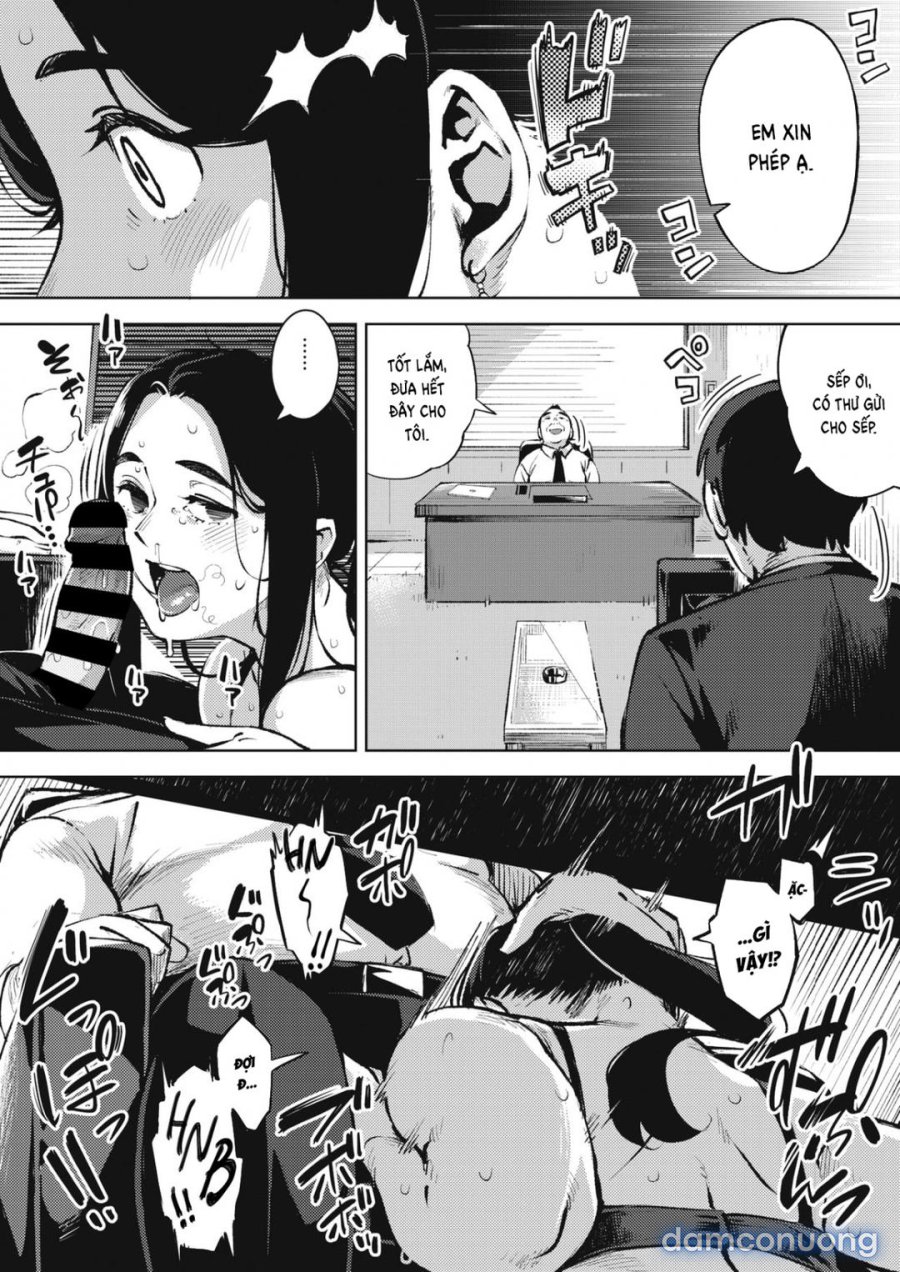 Hitozuma No Rirekisho 