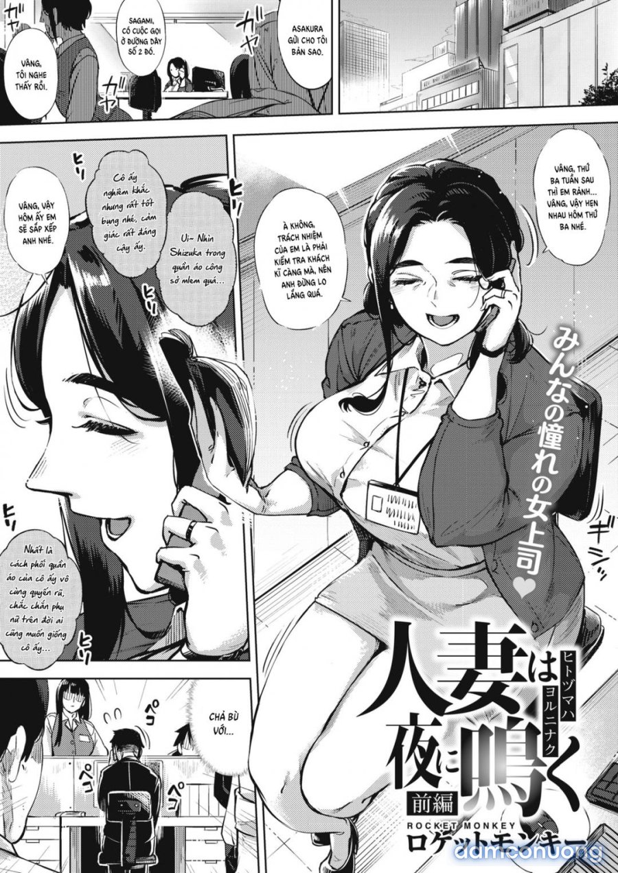 Hitozuma No Rirekisho 