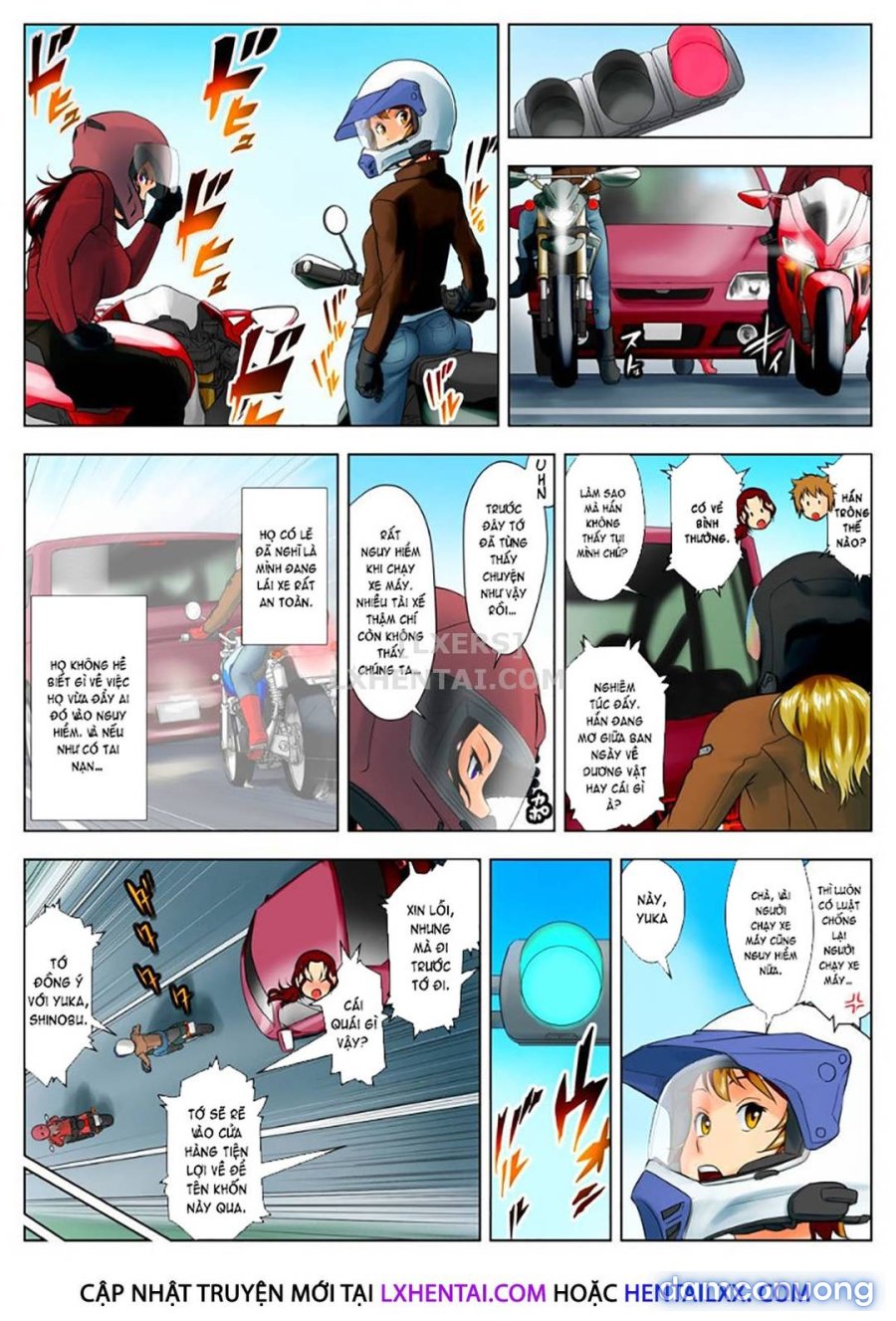 Góa Phụ Naoko 