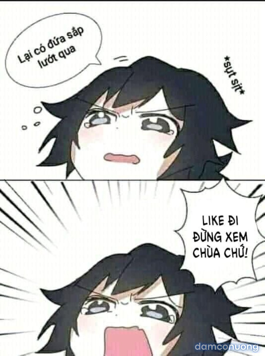 Tsukiyo 