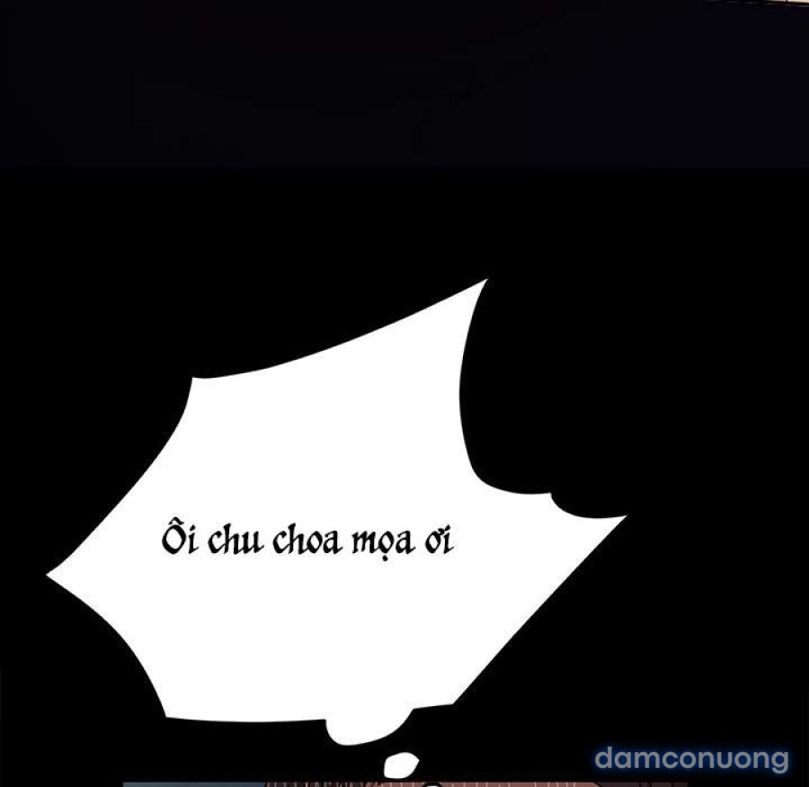 Dịch Vụ Người Mẫu 