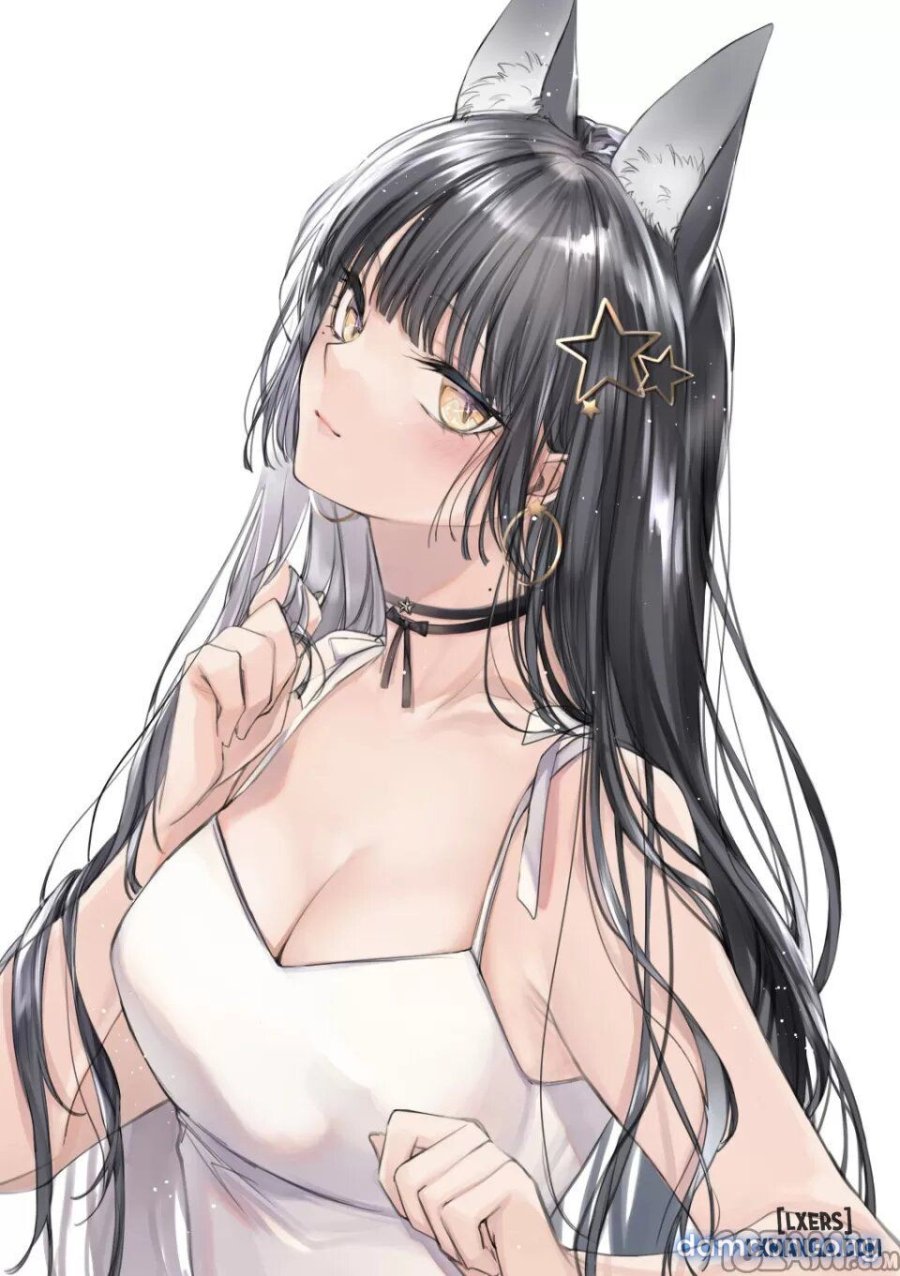 Irui Konintan Seiya 