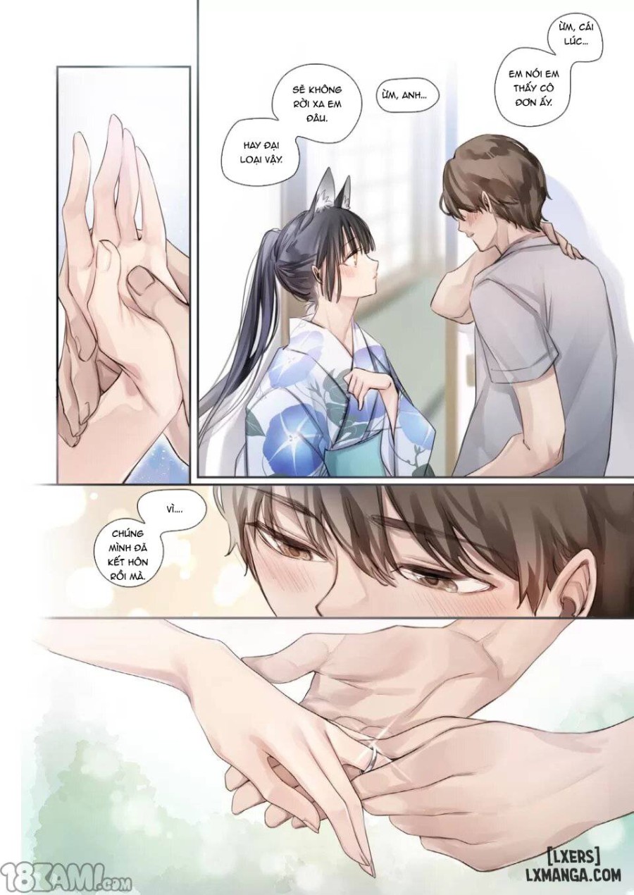 Irui Konintan Seiya 