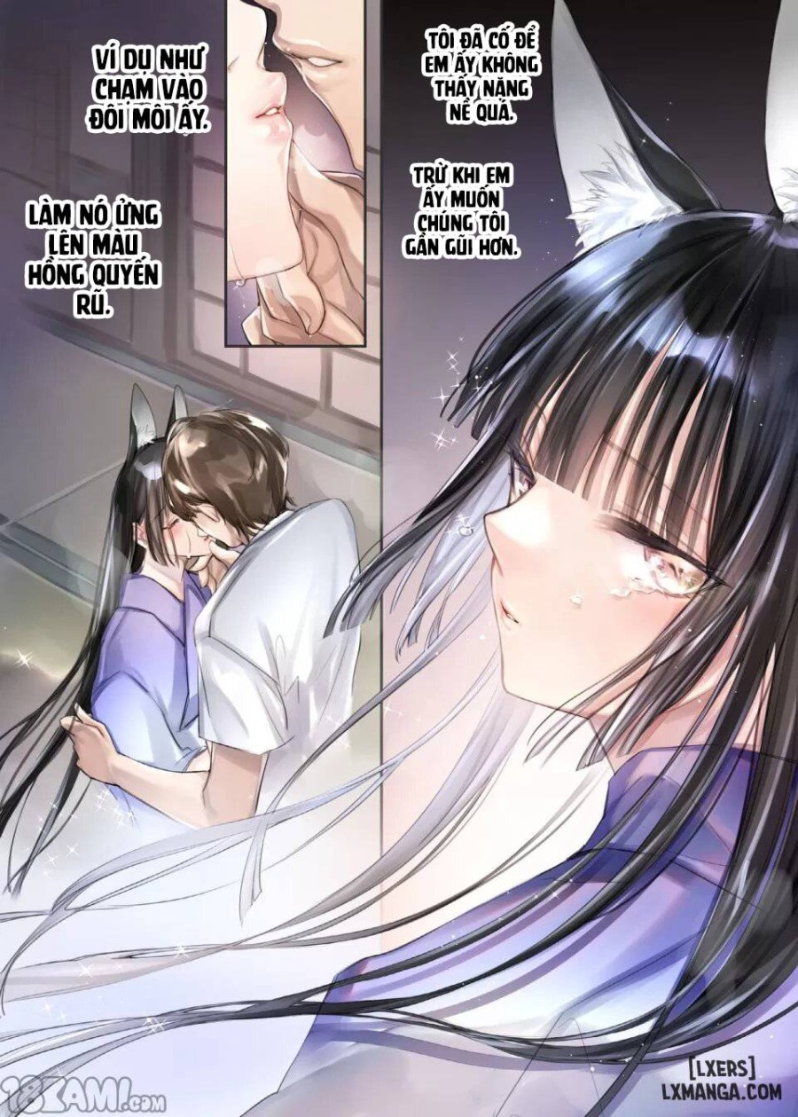 Irui Konintan Seiya 