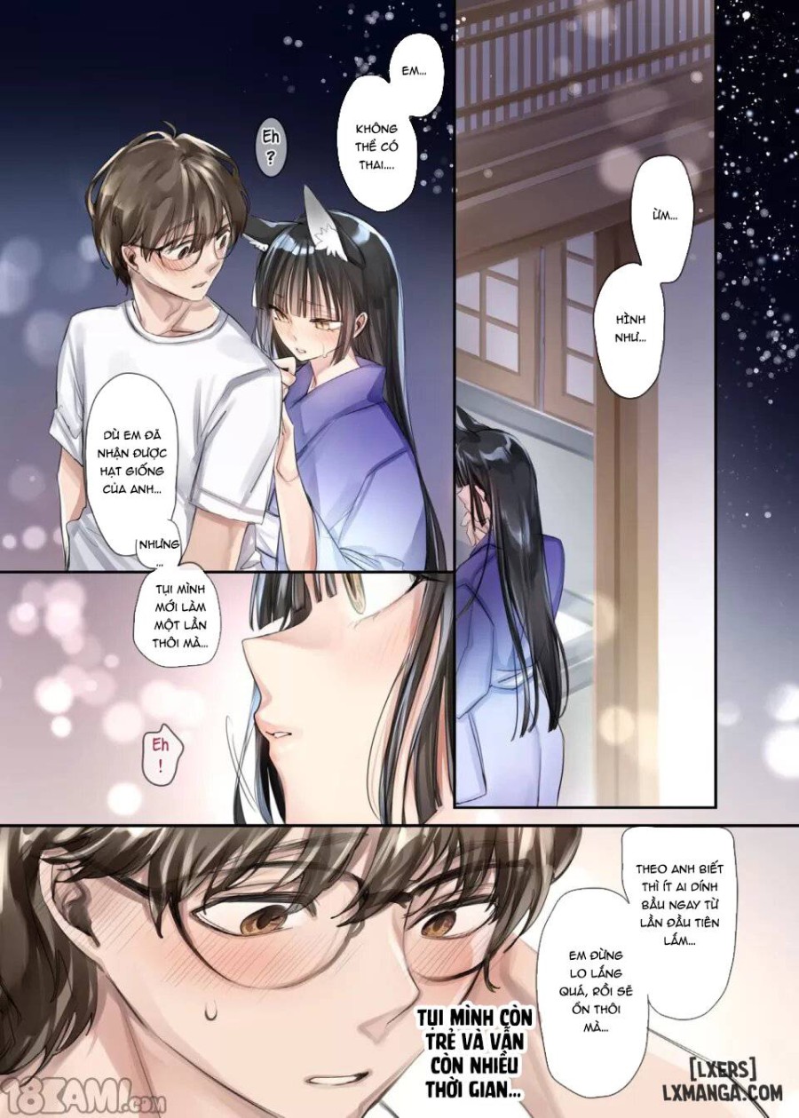 Irui Konintan Seiya 