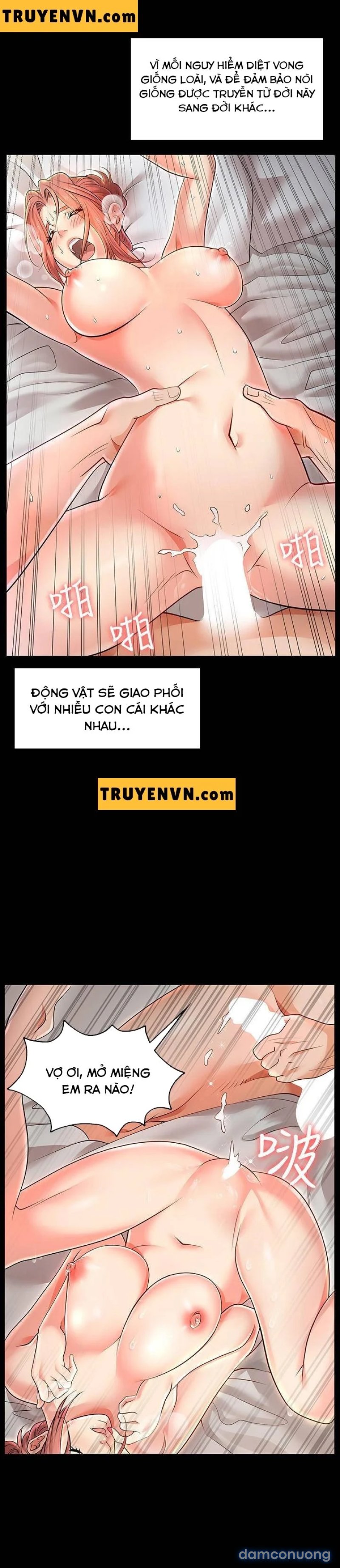 Đổi Vợ 
