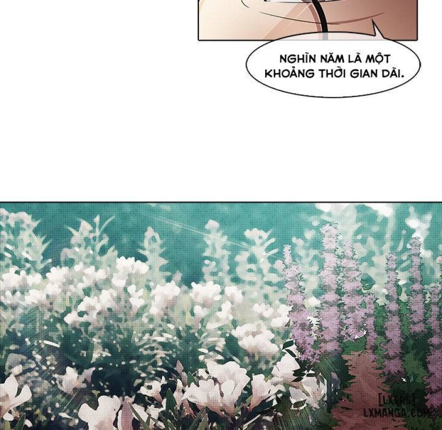 Ảo Mộng Hồ Điệp 