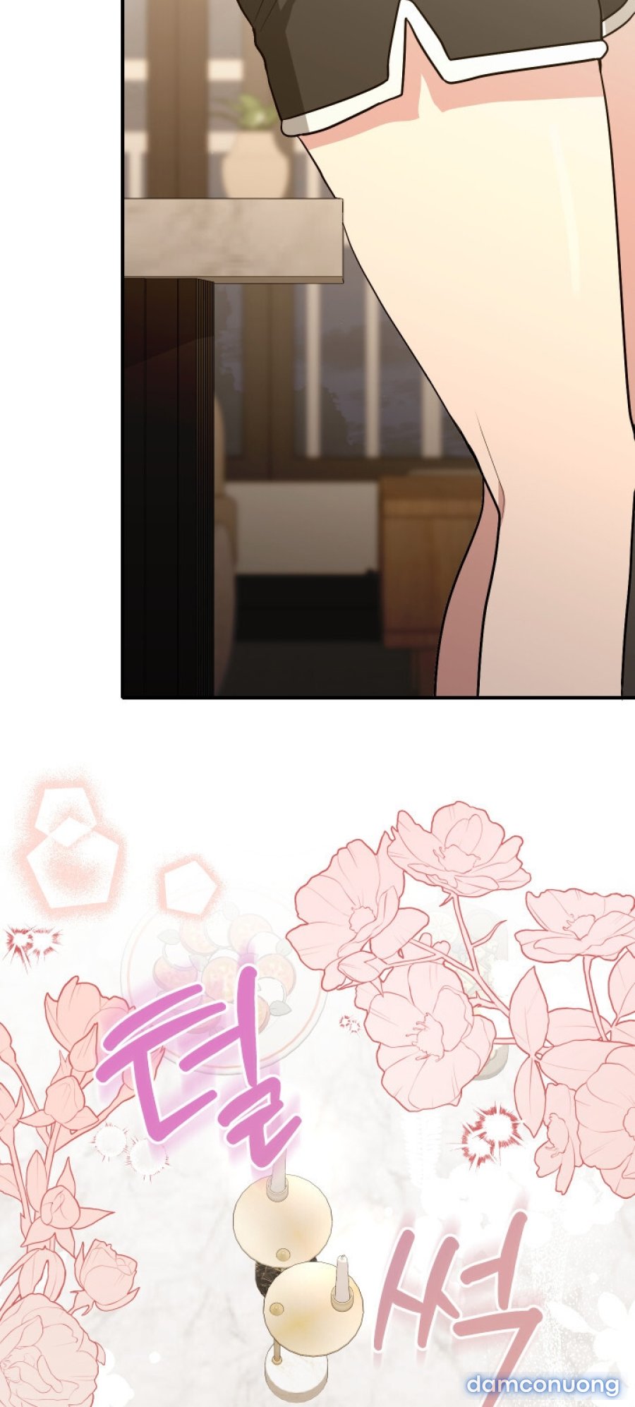 [18+] Người Thu Thập 
