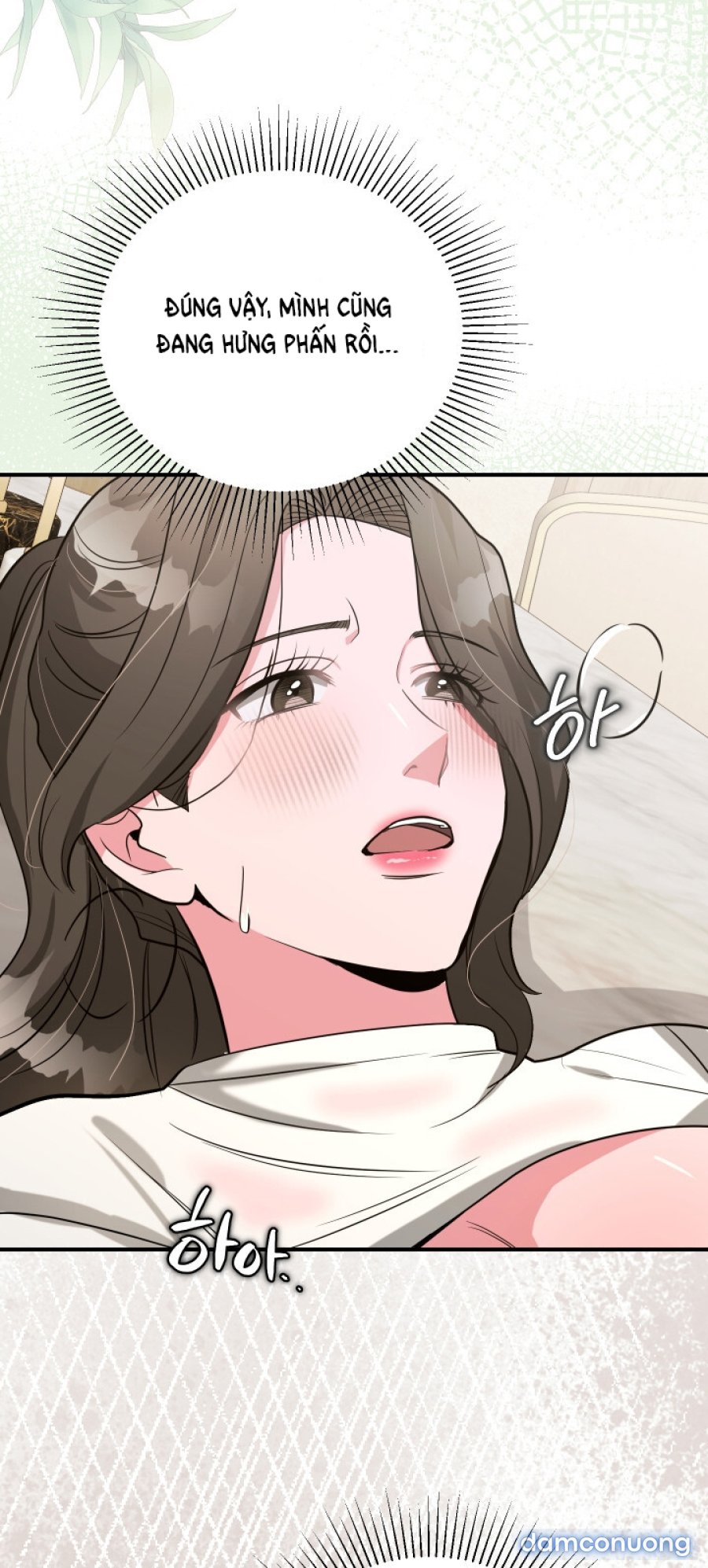 [18+] Người Thu Thập 