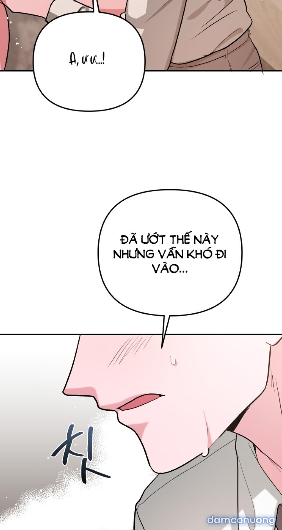 [18+] Người Thu Thập 