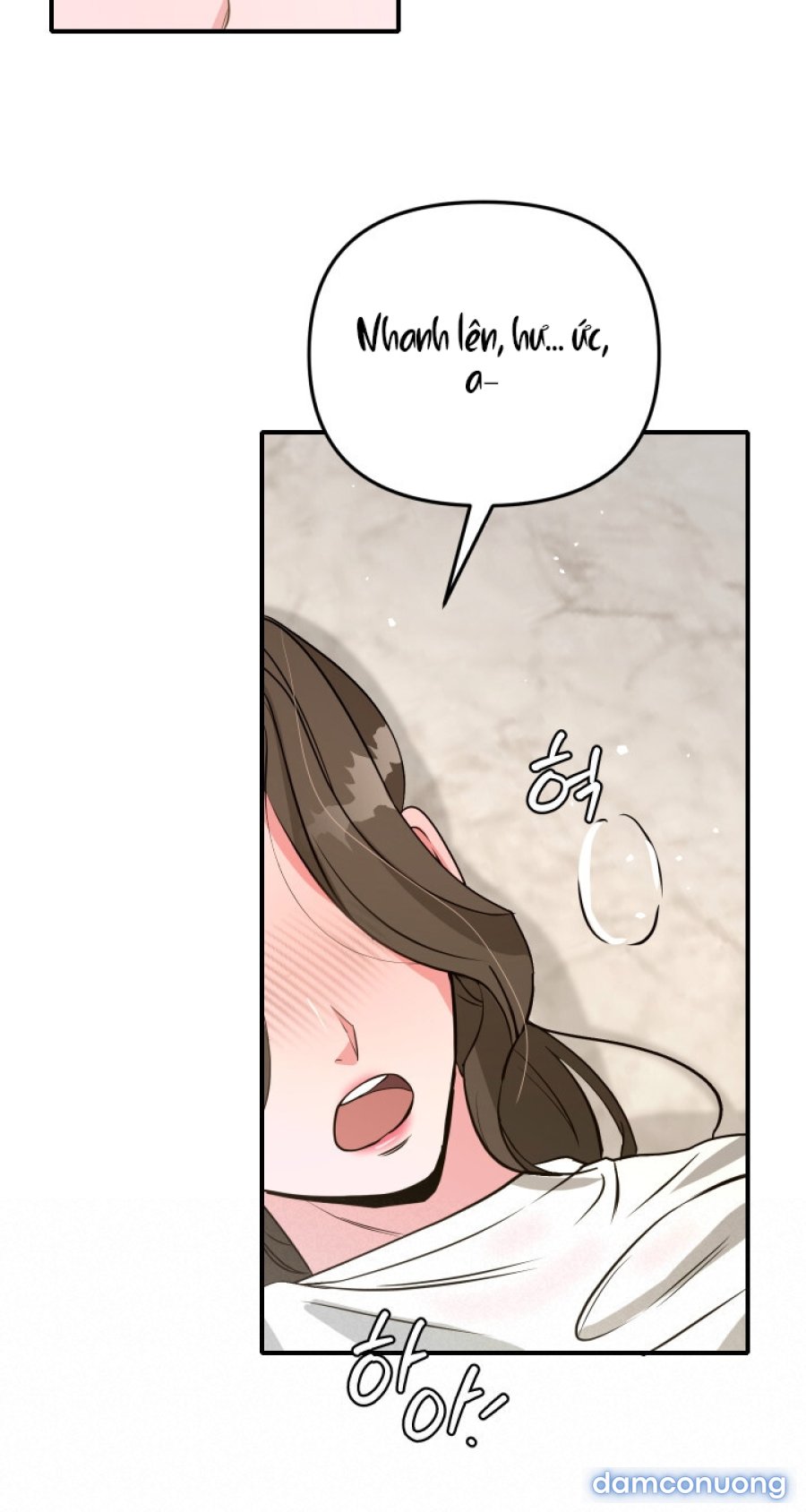 [18+] Người Thu Thập 