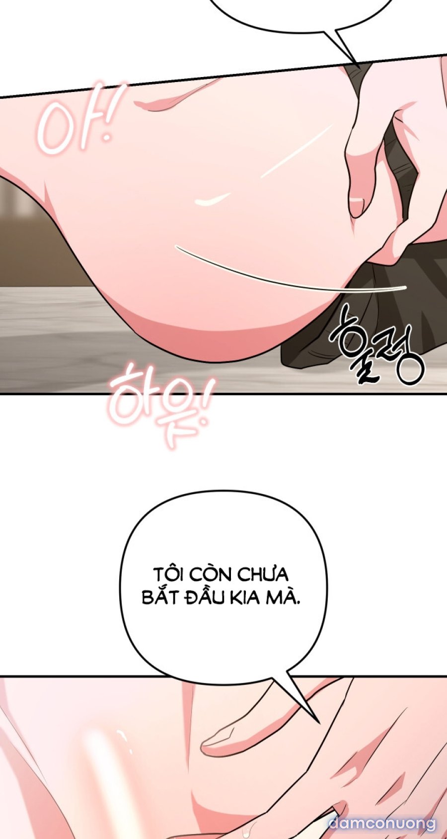 [18+] Người Thu Thập 
