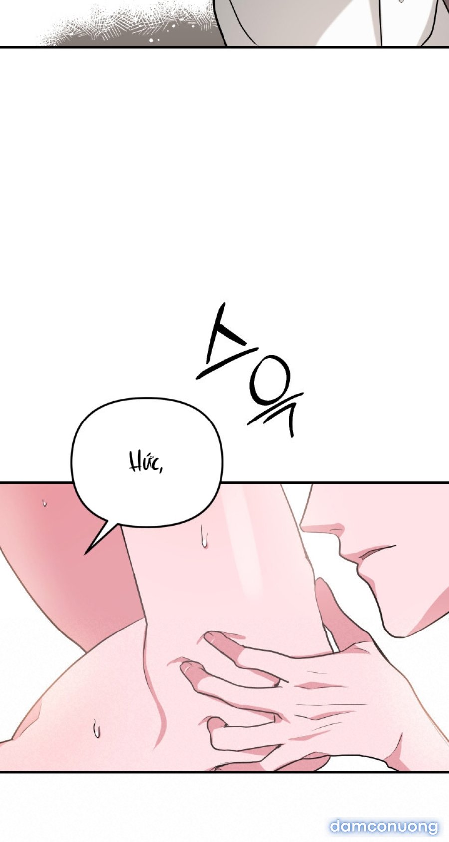 [18+] Người Thu Thập 