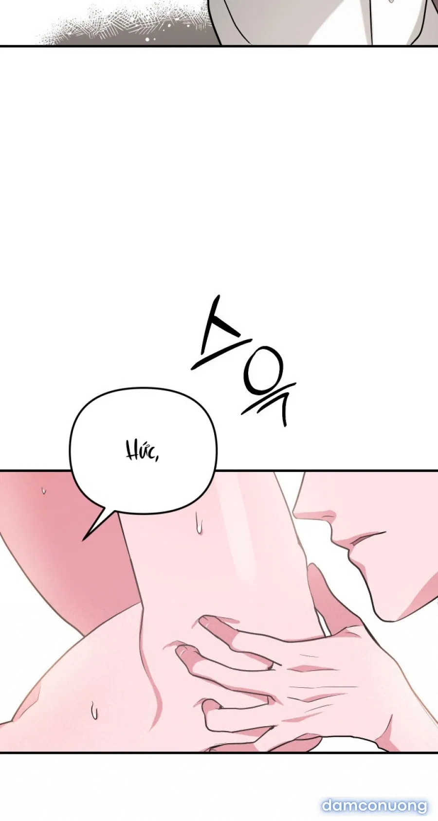 [18+] Người Thu Thập 