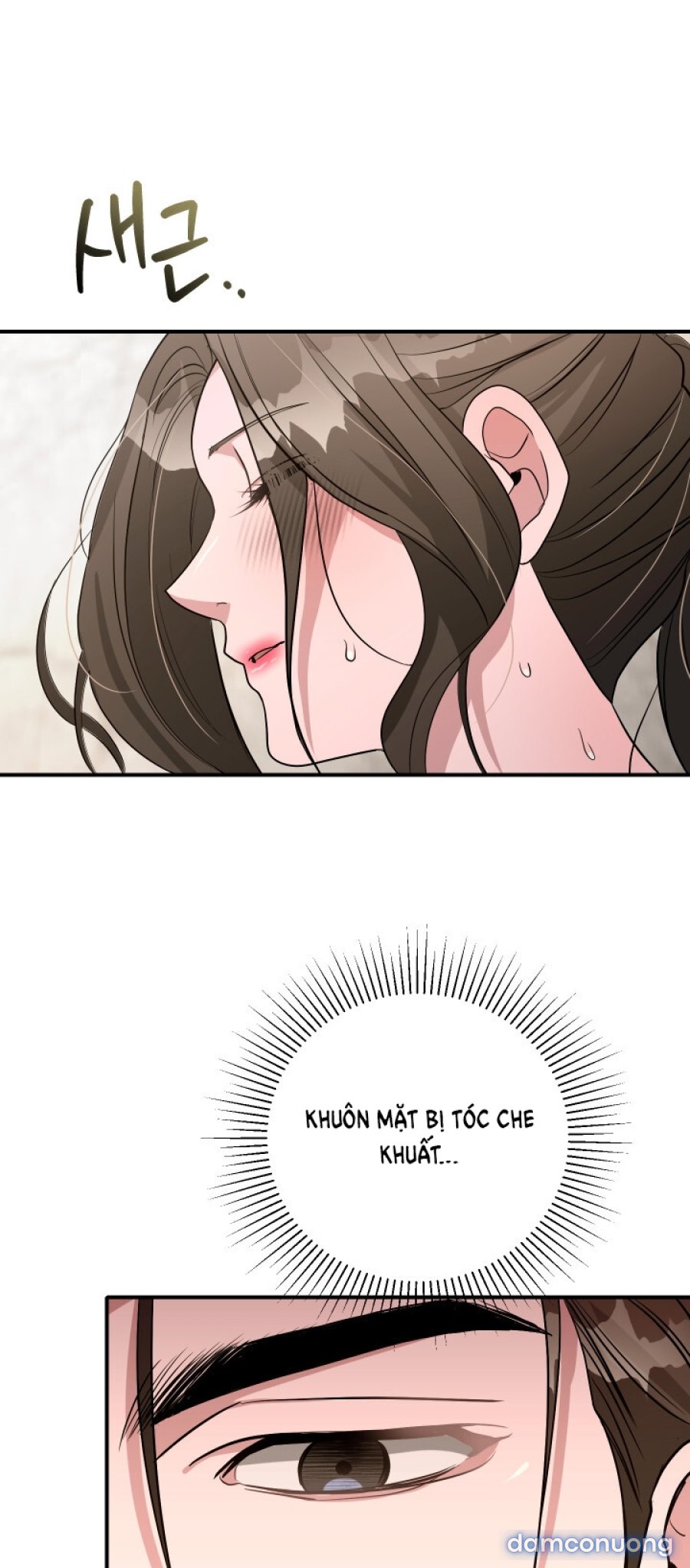 [18+] Người Thu Thập 