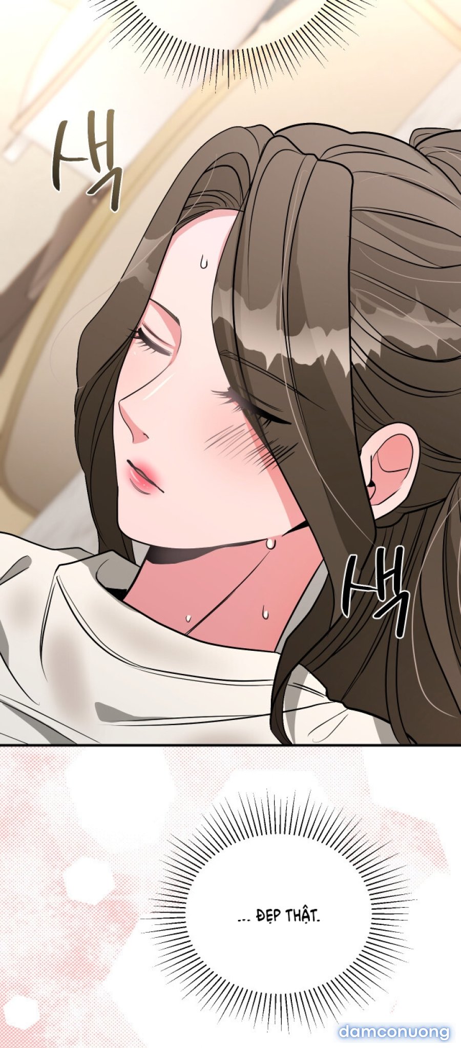 [18+] Người Thu Thập 