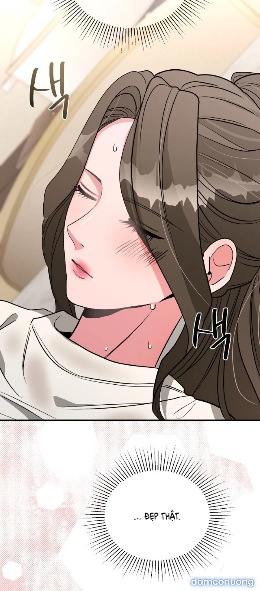 [18+] Người Thu Thập 