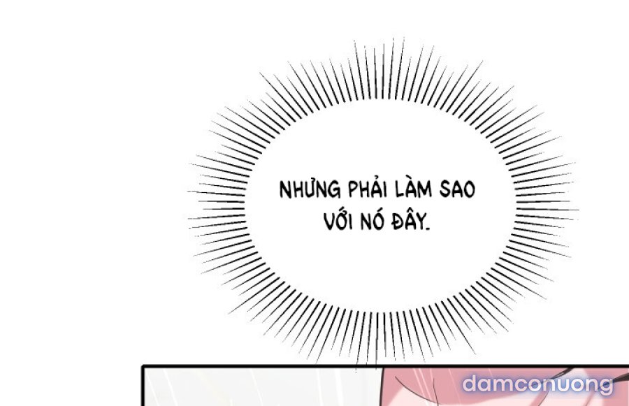 [18+] Người Thu Thập 